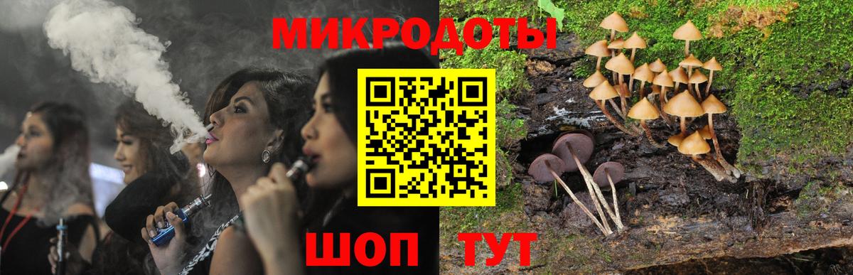 Вичуга  Псилоцибиновые грибы Psilocybe  Вход с VPN 